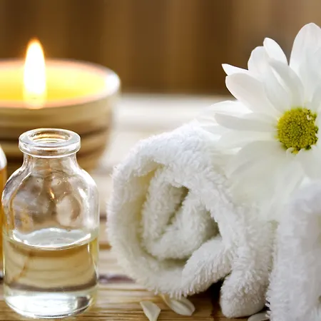 Avatar 住宿加早餐酒店